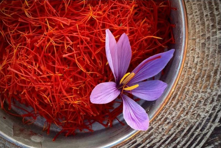 Những điều cần biết về Nghệ Tây - Saffron (P1)