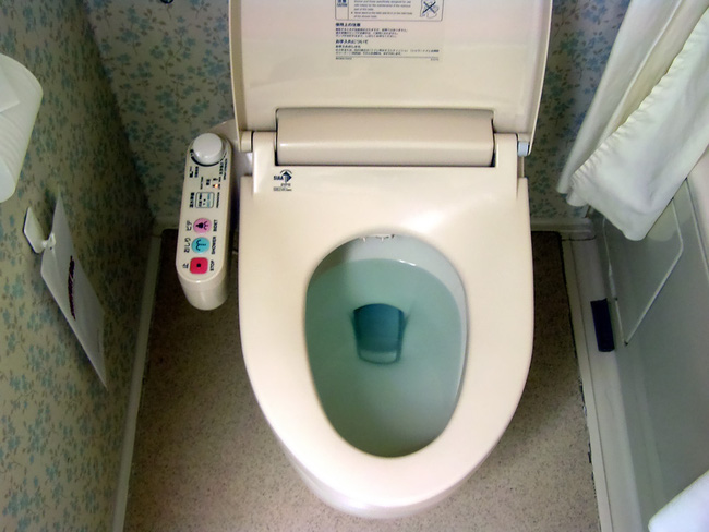 Vứt giấy v&agrave;o toilet hay sọt r&aacute;c v&agrave; đ&acirc;y l&agrave; c&aacute;ch xử l&yacute; ở c&aacute;c quốc gia kh&aacute;c nhau 2
