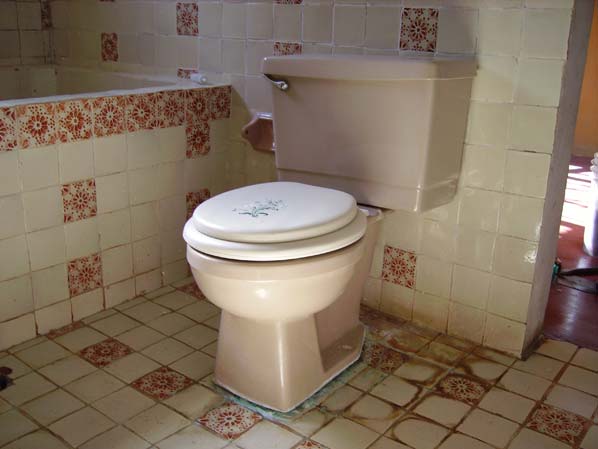 Vứt giấy v&agrave;o toilet hay sọt r&aacute;c v&agrave; đ&acirc;y l&agrave; c&aacute;ch xử l&yacute; ở c&aacute;c quốc gia kh&aacute;c nhau 4